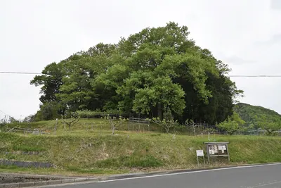 Takatsuki Chausuyama Kofun