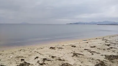 Futaoijima