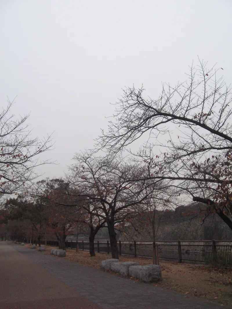 Osaka Castle Park