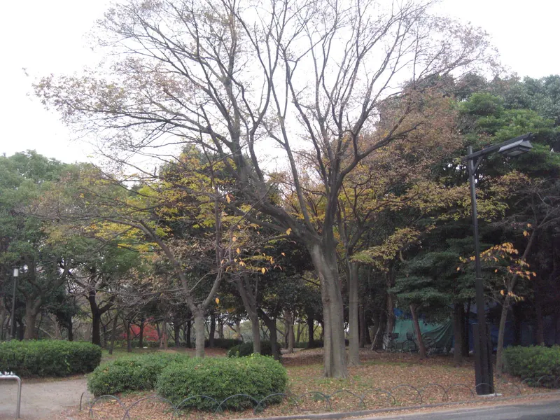 Osaka Castle Park