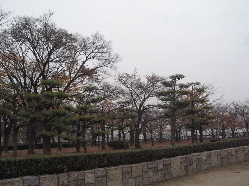 Osaka Castle Park