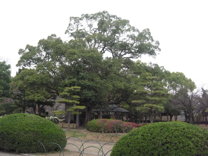 Osaka Castle Park