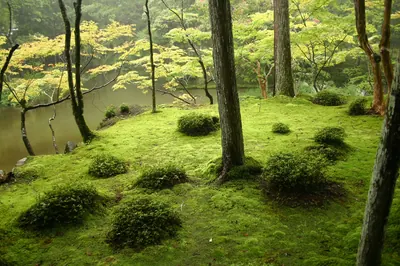 Saihō-ji Temple