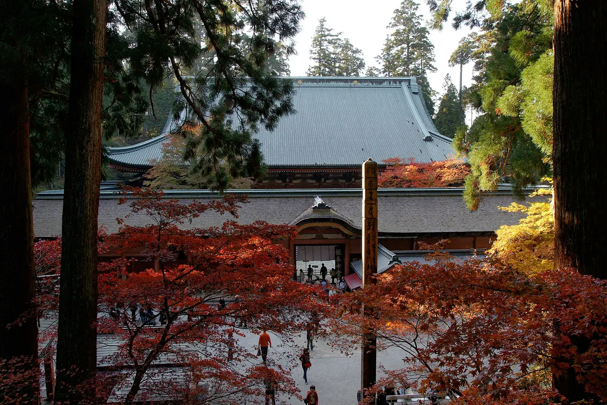 Konpon Chūdō