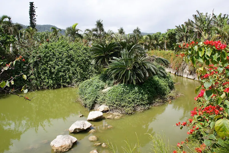 Subtropical Botanical Garden
