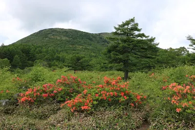 Mount Yunomaru