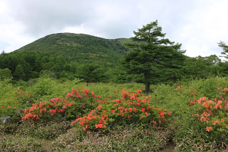Mount Yunomaru
