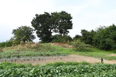 Akabori Chausuyama Kofun