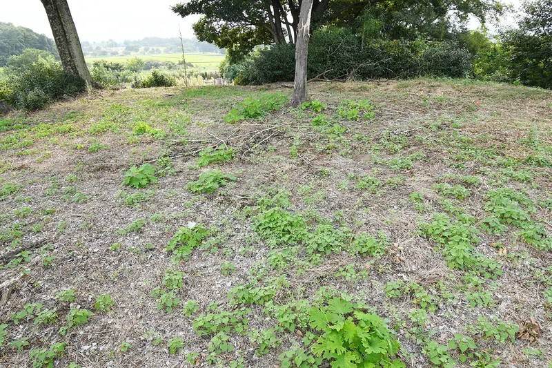 Akabori Chausuyama Kofun
