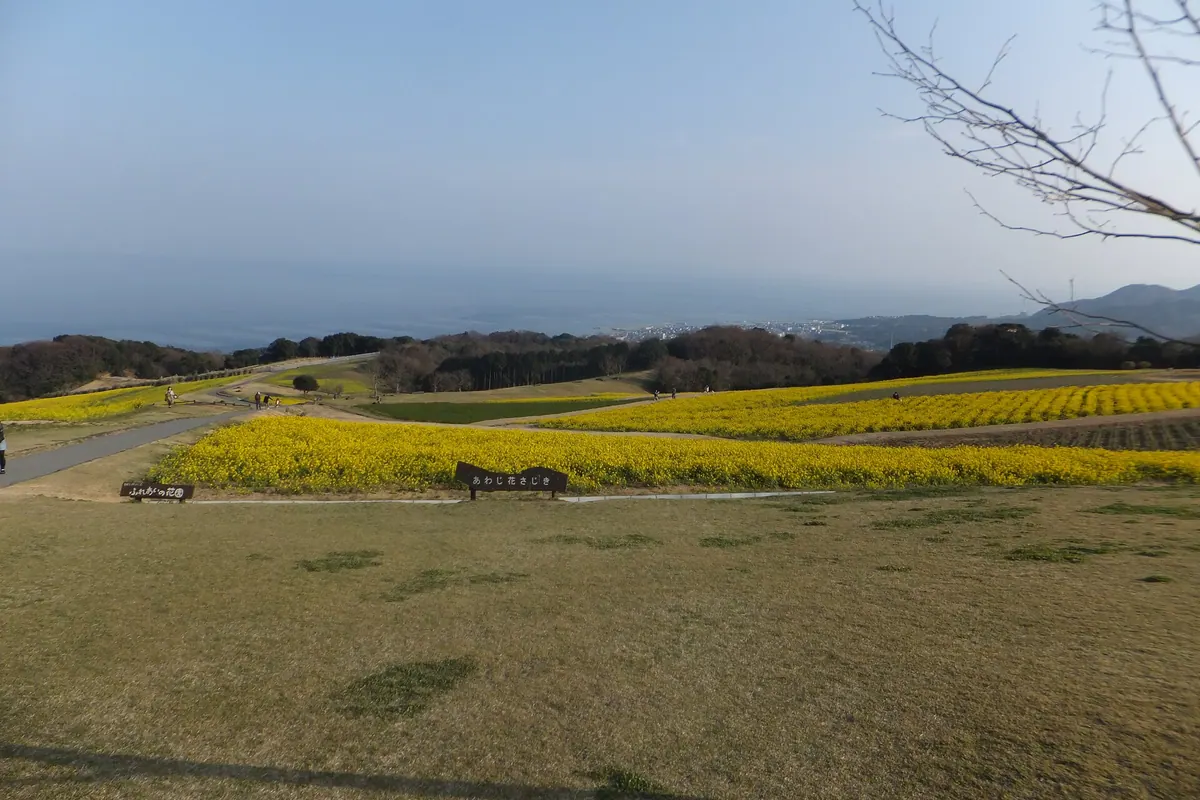 Awaji Hanasajiki