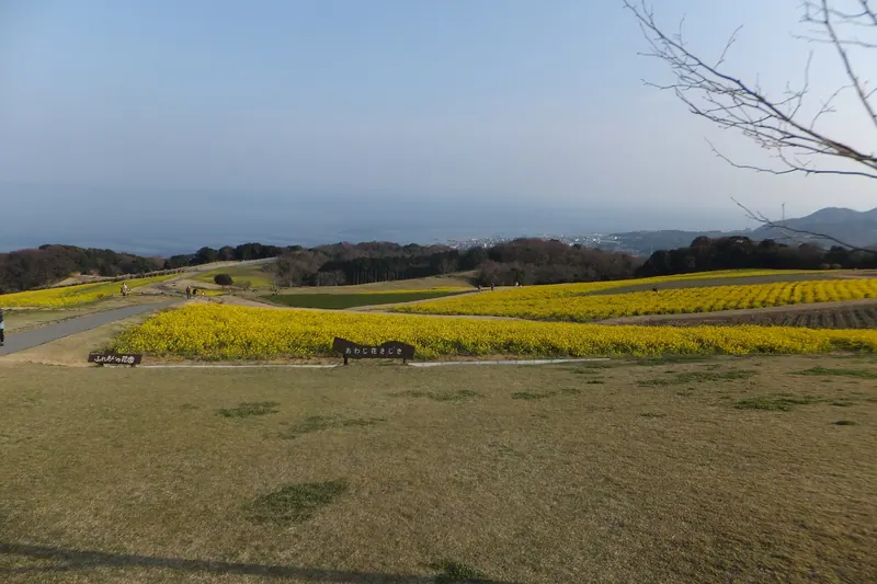Awaji Hanasajiki