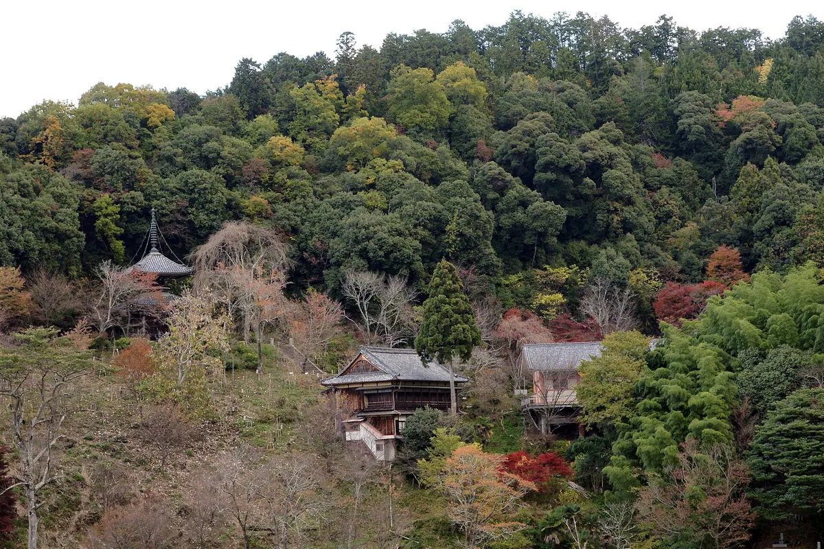 Nyoirin-ji Temple