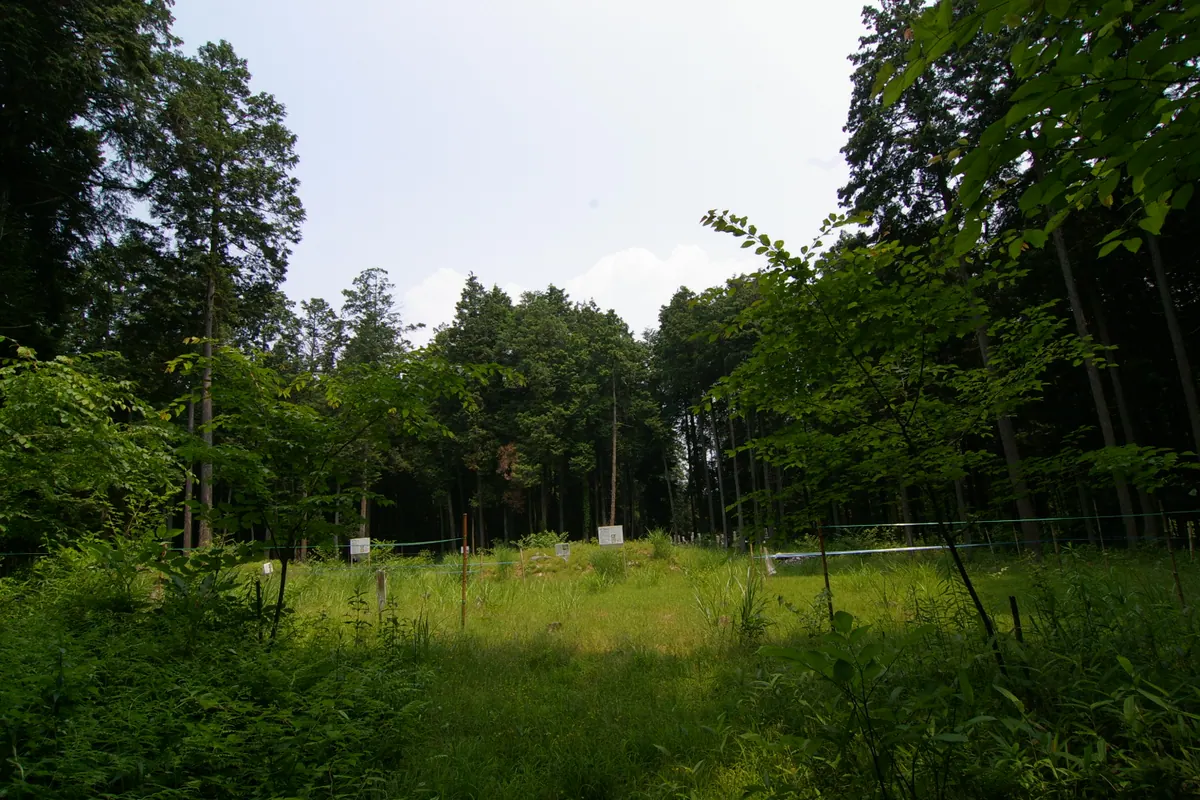 Shōge temple ruins