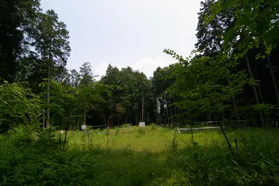 Shōge temple ruins