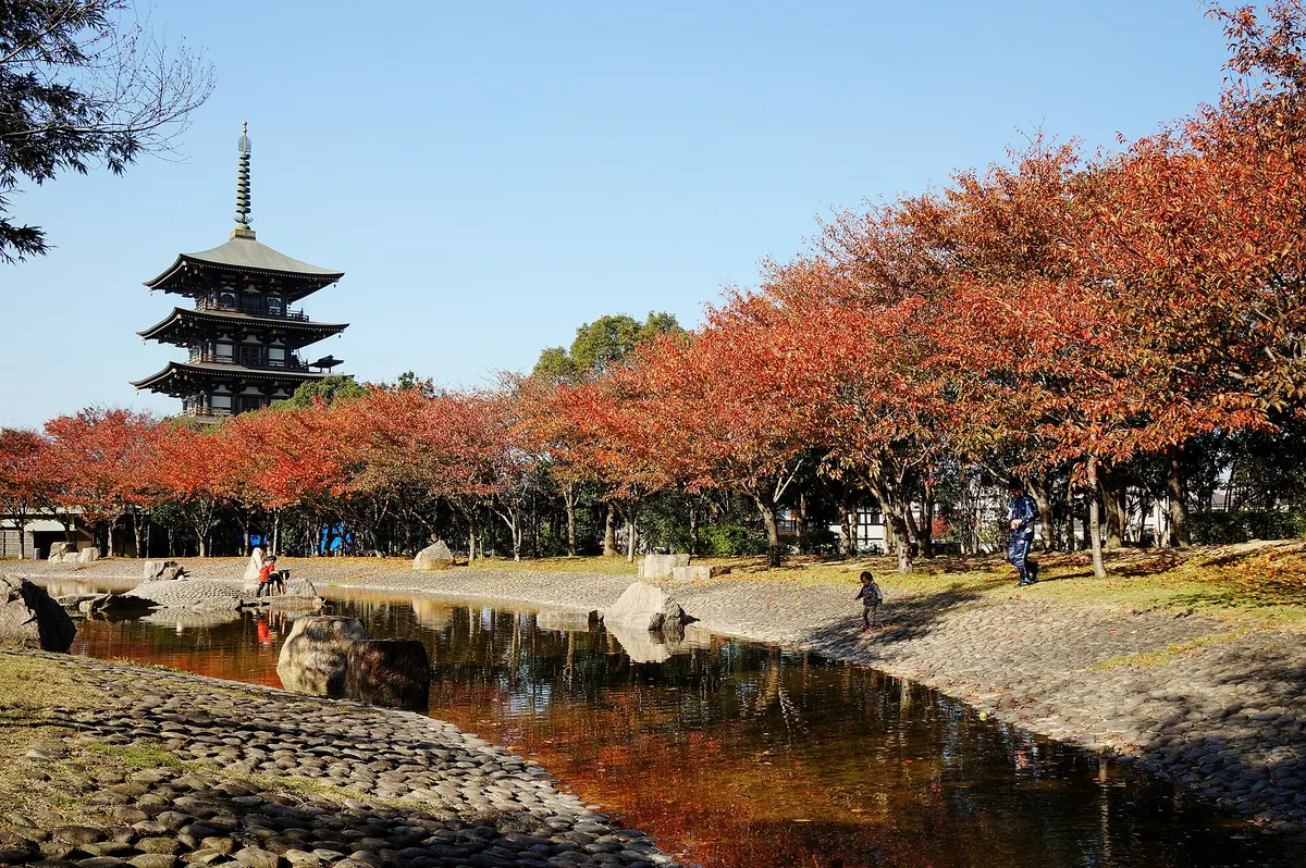 Nozoekita Park