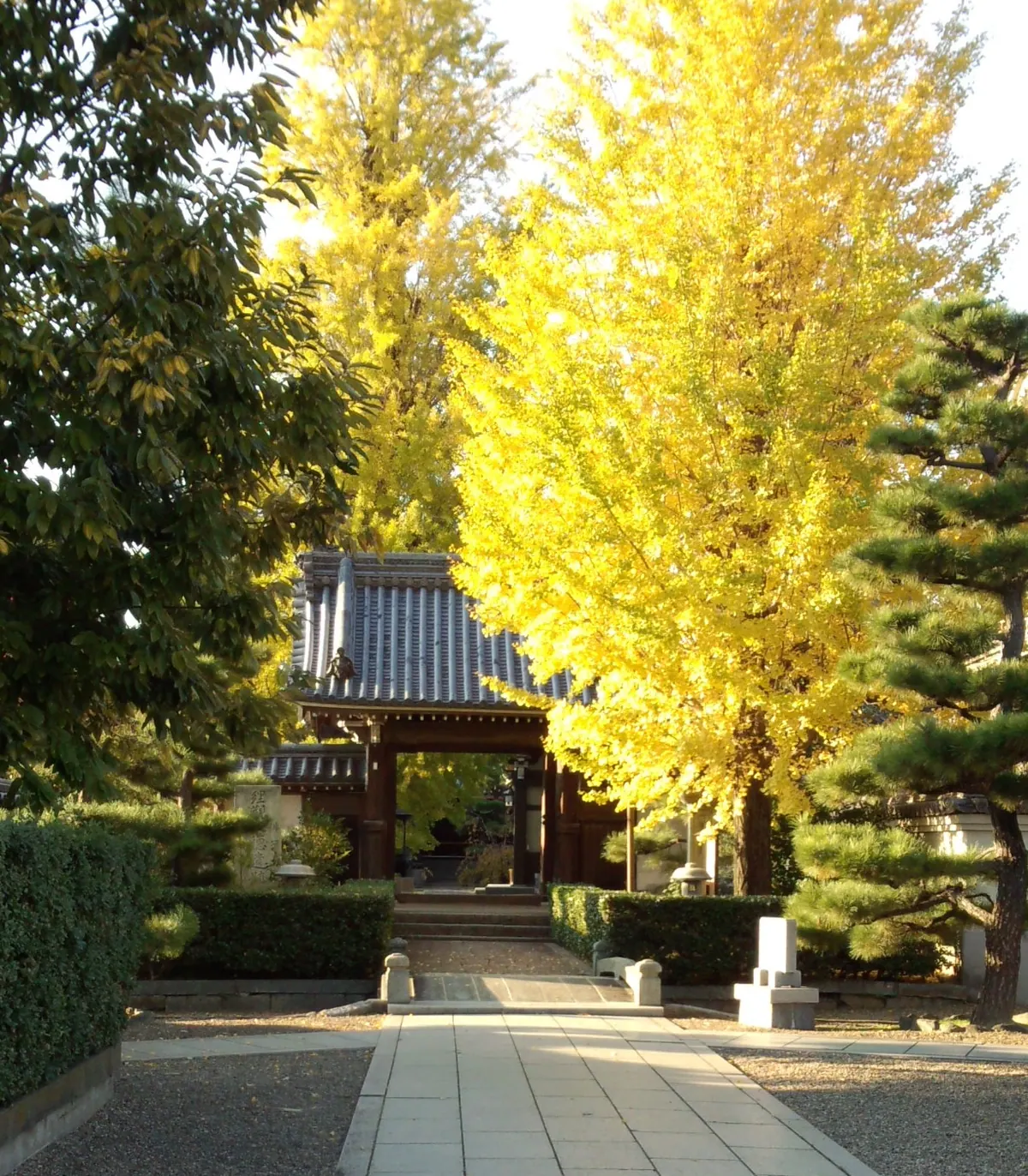 Shōmyō-ji Temple