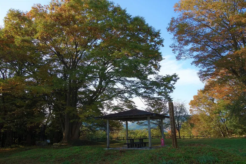 Hasedō Castle
