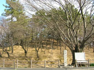 Hachimanyama Kofun