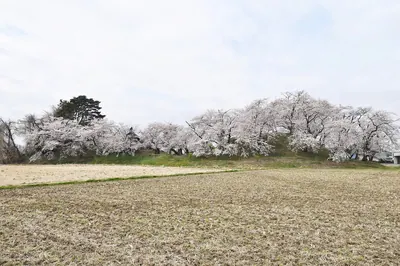 Motoshima Shōgunzuka Kofun