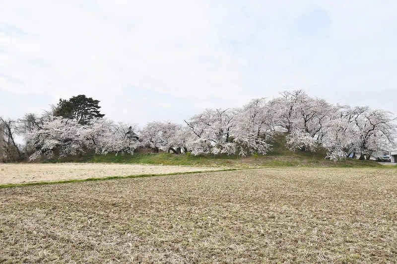 Motoshima Shōgunzuka Kofun