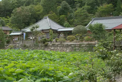 Seishin-ji Temple