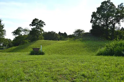 Ōu-kofungun
