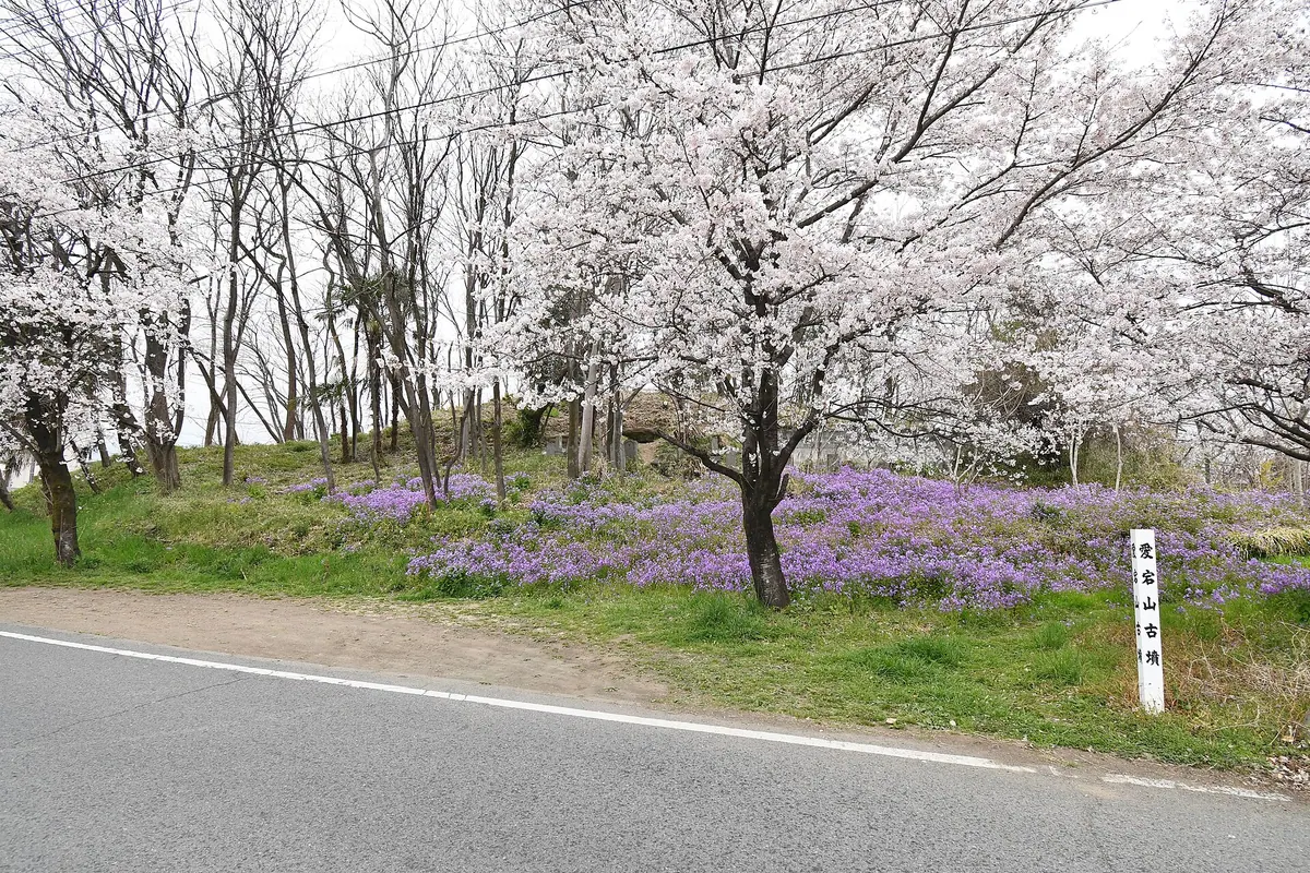 Soja Atagoyama Kofun