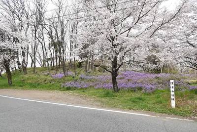 Soja Atagoyama Kofun