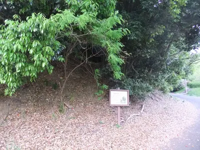 Hijiyama Shell Mound