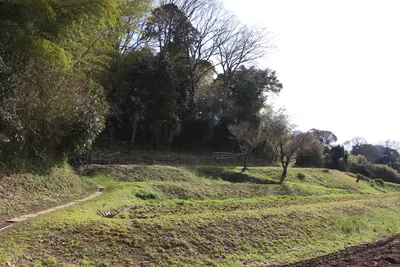 Shiizu Castle