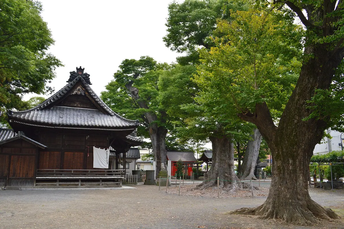 Shinano-omiya-sha