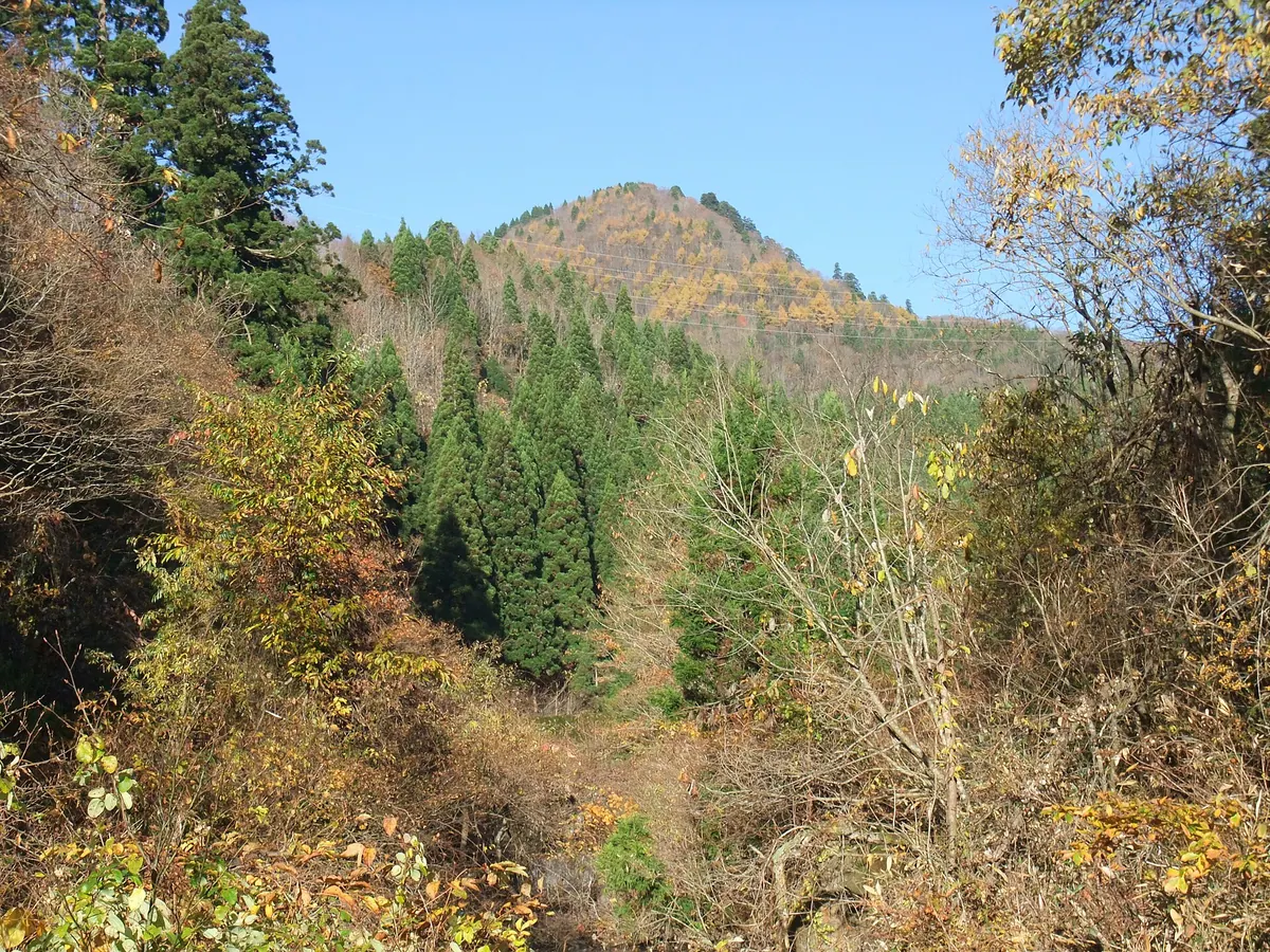 Mount Jinkichi-mori