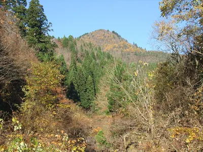 Mount Jinkichi-mori