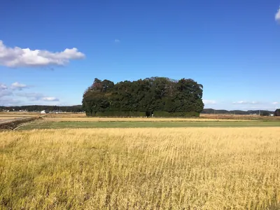 Kuchira Shrine