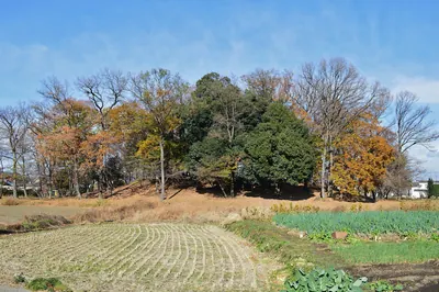Nyotaisan Kofun