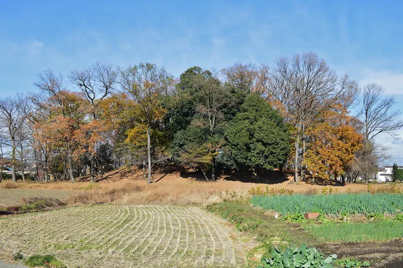 Nyotaisan Kofun
