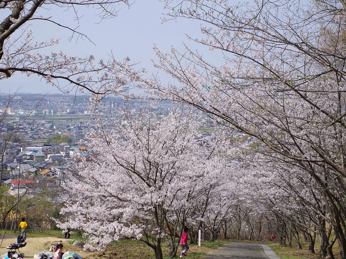 Chikatsu Asuka Fudoki-No-Oka Historical Park