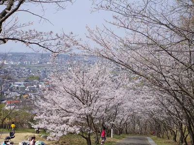 Chikatsu Asuka Fudoki-No-Oka Historical Park