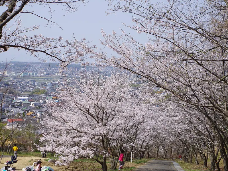 Chikatsu Asuka Fudoki-No-Oka Historical Park