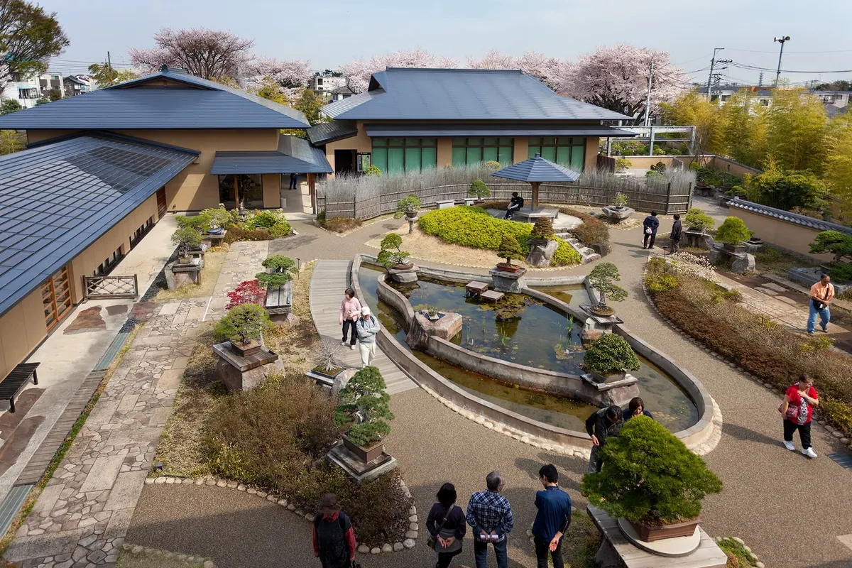 Omiya Bonsai Art Museum, Saitama
