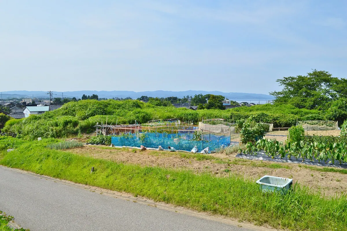 Sakuradani Kofun
