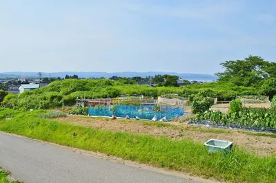 Sakuradani Kofun