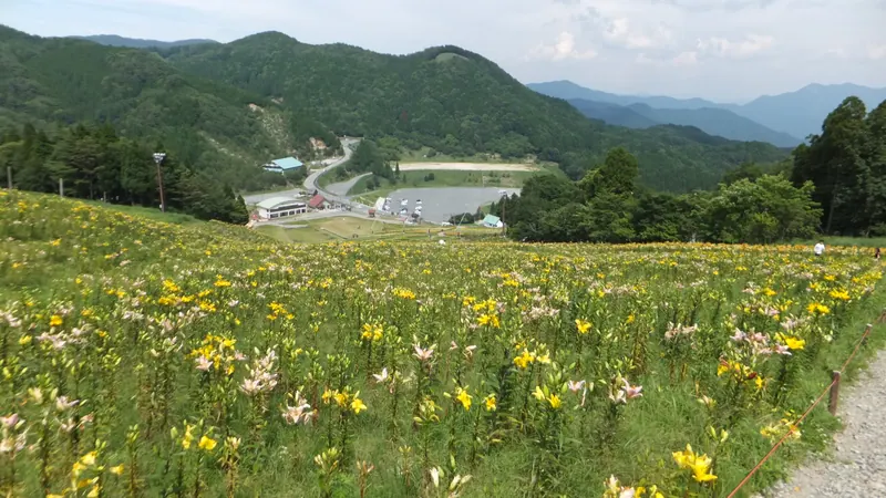Chikusa Kōgen Lily Garden