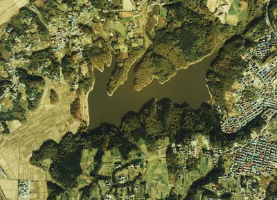 Lake Kasenuma