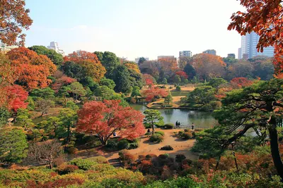 Rikugi Garden