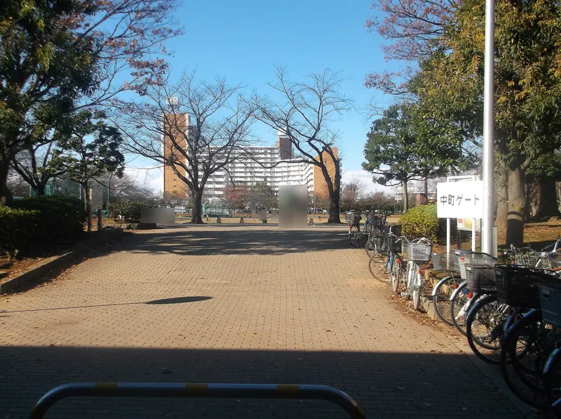 Shin-Koiwa Park