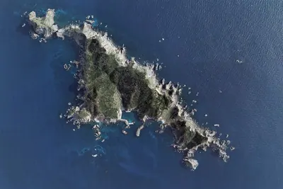 Utchima