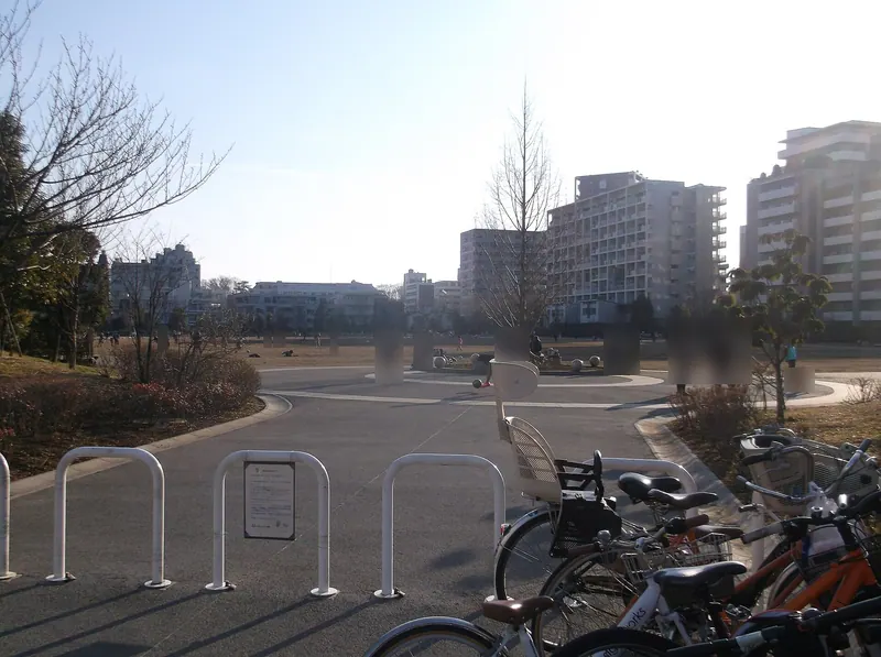 Momoi Harappa Park
