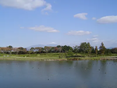 Iimoriyama Park
