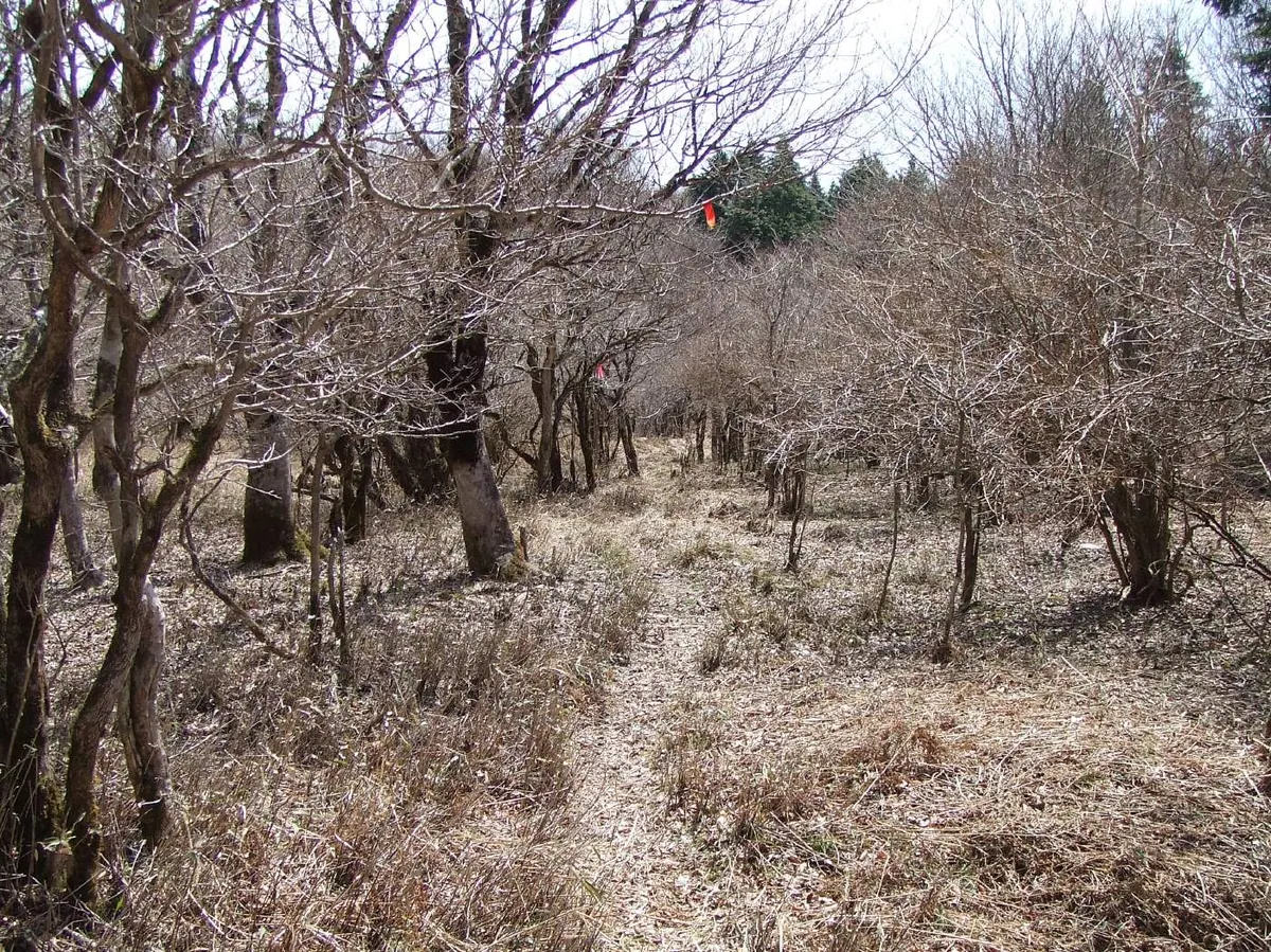 Mount Kagamashi